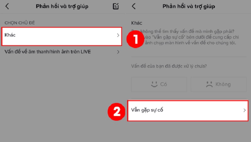 Hướng dẫn livestream bán hàng trên Tiktok hiệu quả