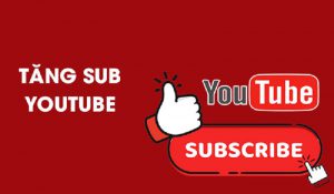Cách tăng 1000 sub cho youtube đơn giản nhất 2022