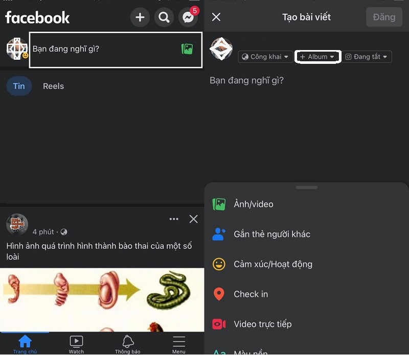 2 Cách tạo album ảnh trên facebook bằng điện thoại, máy tính