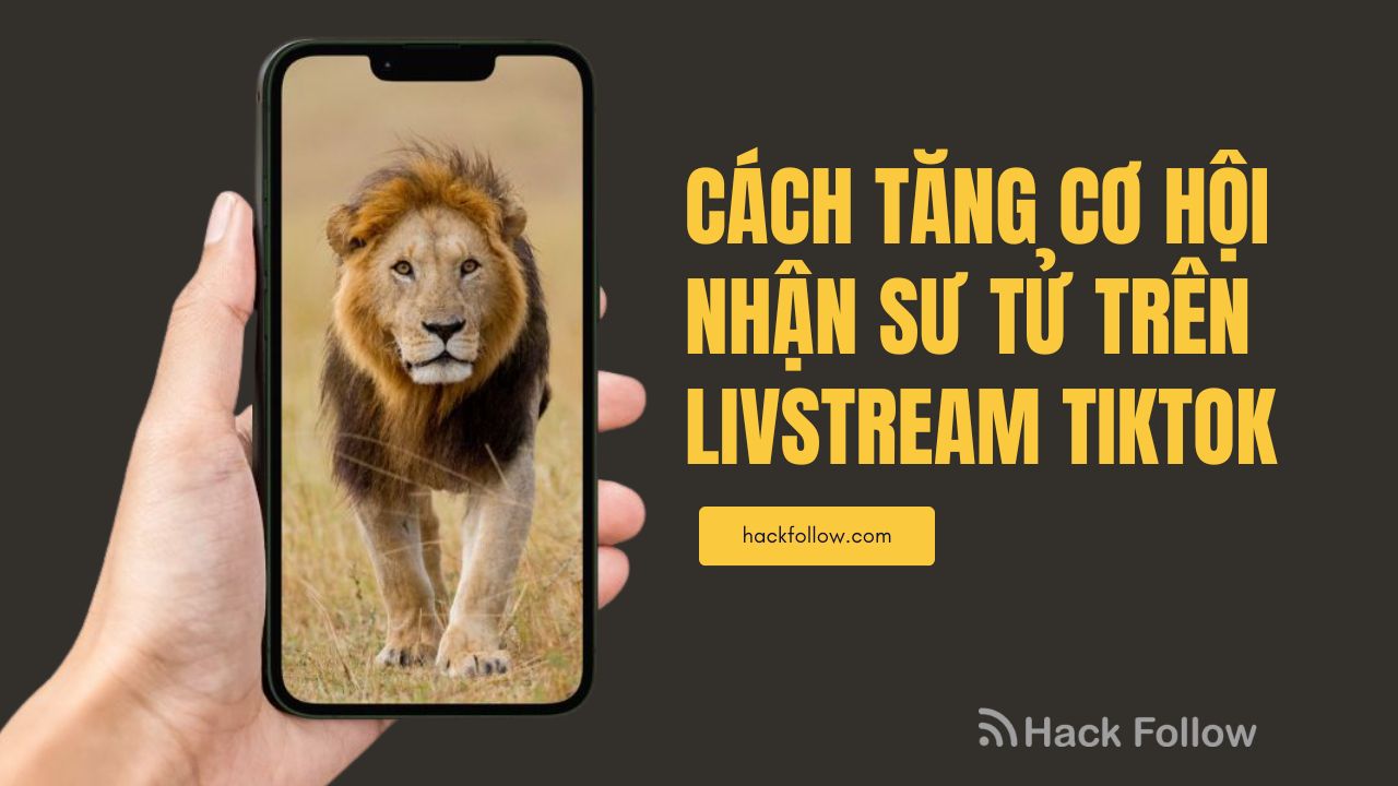 cach tang co hoi nhan su tu tiktok