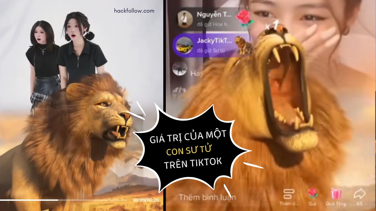 gia tri cua su tu tren tiktok