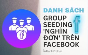 dach sach group seeding fb