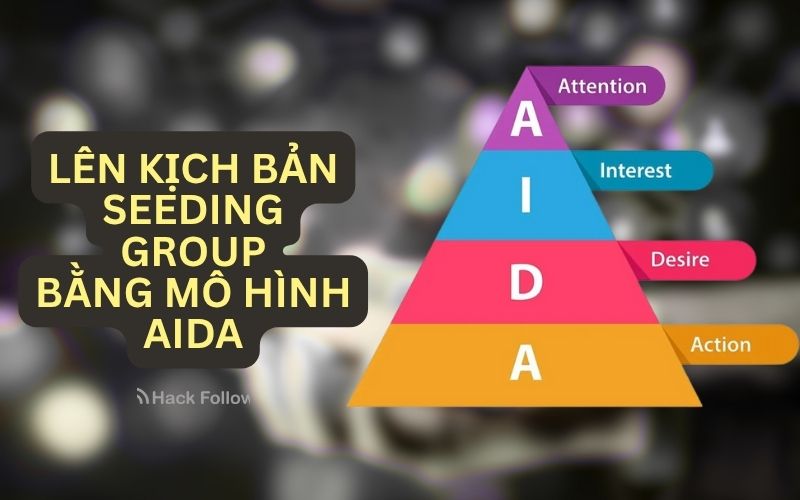 len kich ban seeding group