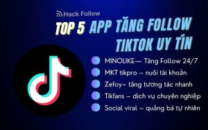 Top app tang fl tiktok