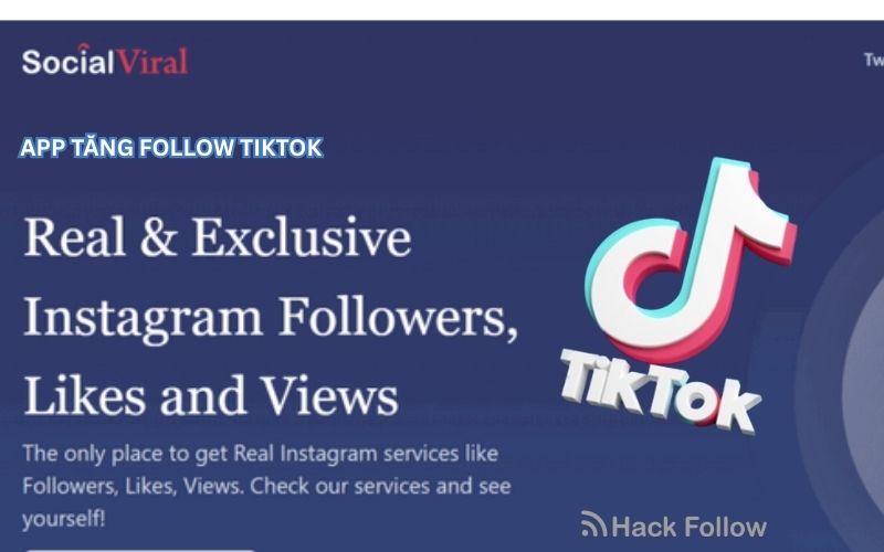 tang fl tiktok social viral